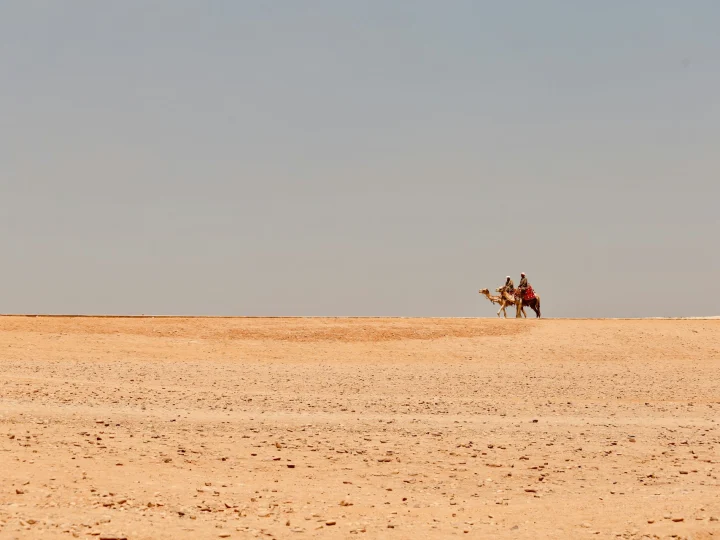 Passeggiata in cammello nel deserto